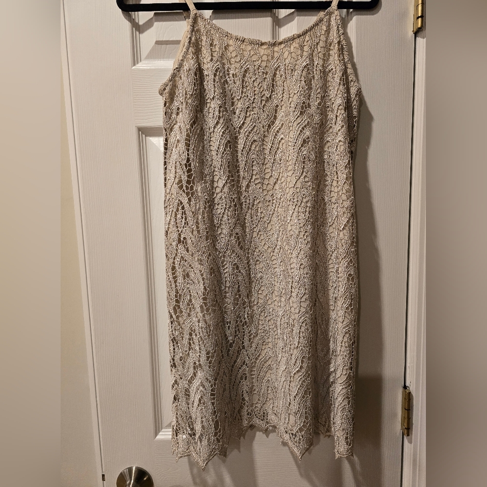 Alice + Olivia Cream Lace Metallic Mini Dress